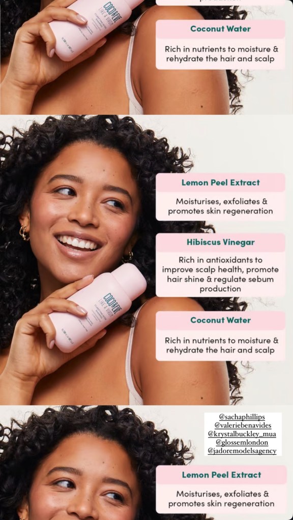 COCO_ANND_EVE_HAIR_WEBSITE